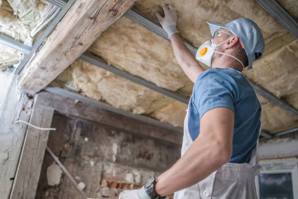 Insulation Contractors for Homes in Las Vegas, NV